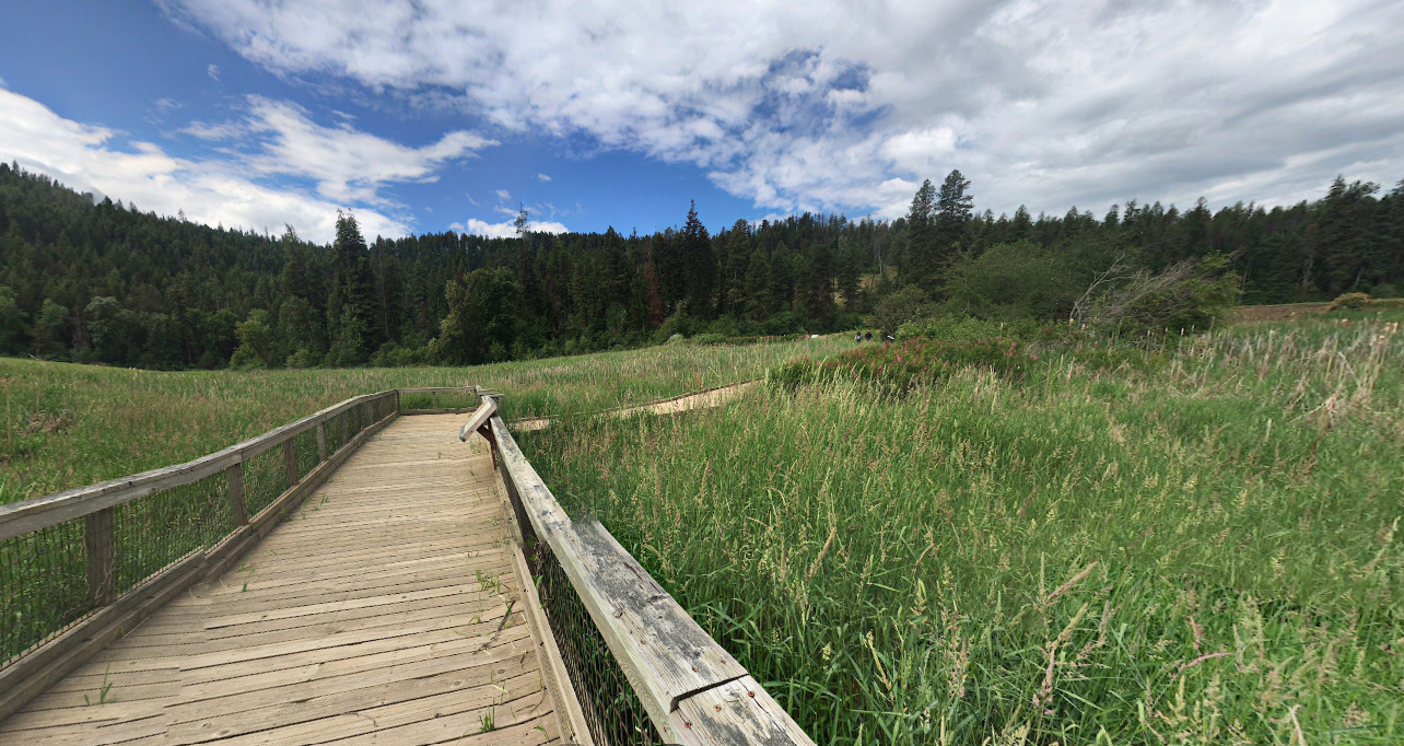 Heyburn State Park trail and forest scenery