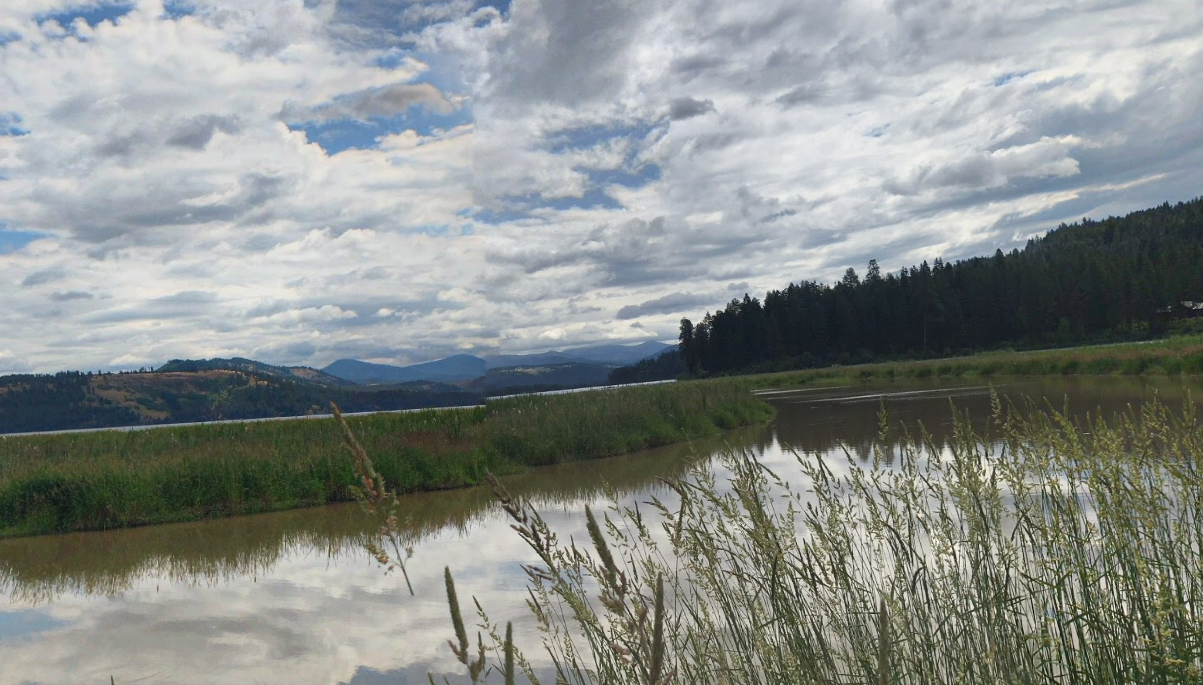 Heyburn State Park lake and shoreline views